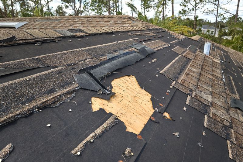 Damaged Shingles Replacement