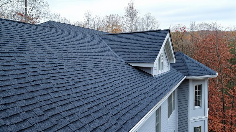 Summer Roofing Projects