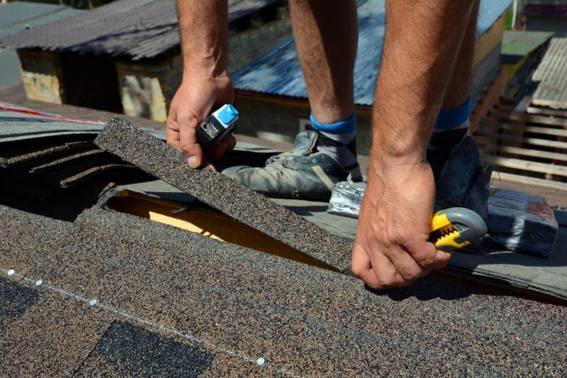 Shingles Repair